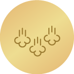 Parni sustav SteamHygiene