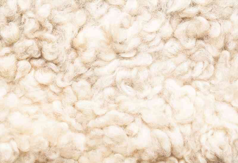Ovčja vuna kao najbolji prirodni termoregulator.